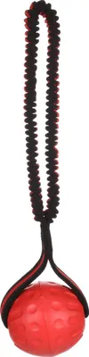Produktbild von Flamingo Hundespielzeug Strekta mit Ball rot/schwarz, Maße: 38,5 x 9,5 x 8,5 cm