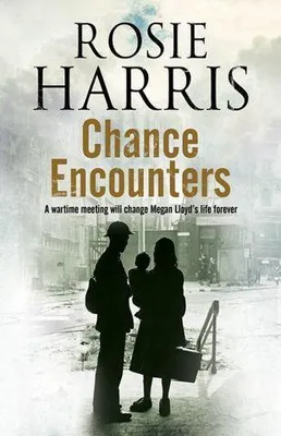 Obrázek produktu pro Chance Encounters
