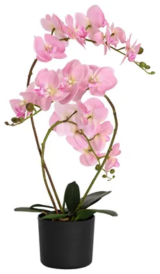 Image de Plante orchidée artificielle avec pot Rose 45 x 15 x 65 cm