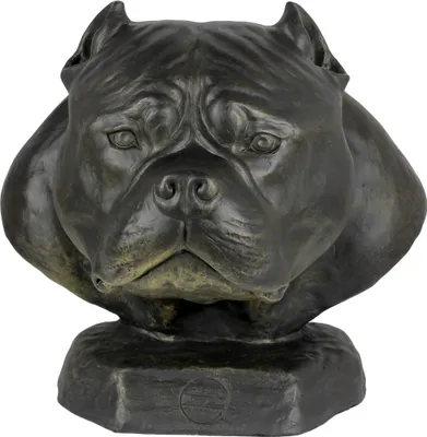 Zdjęcie produktu dla Art-Dog Popiersie psa – American Bully I