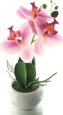 Produktbild von GASPER Orchidee Lila im runden Topf 23 cm - Kunstblumen