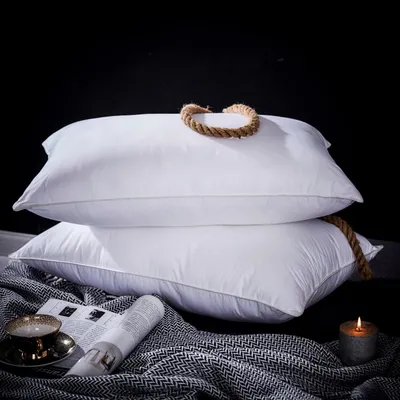Image de Ensemble de 2 oreillers en duvet de canard - Hypoallergéniques - Blanc - Qualité hôtel