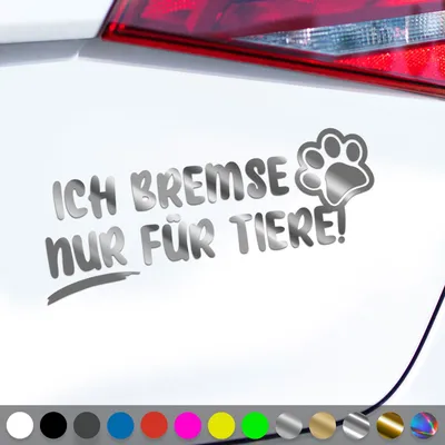 Produktbild von PantherPixel Bremsen Aufkleber Nur Für Tiere Tierrettung Tierschutz Sticker Auto Geschenkidee Farbe Chrom-Silber