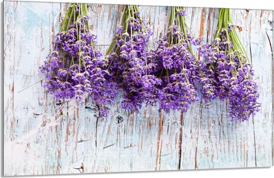 Produktbild von Glas-Herdplattenschutz 80x52 Lavendel