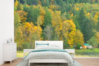 Produktbild von MuchoWow® Fototapete für Wohnzimmer oder Schlafzimmer Wandtapete Vinyl Motivtapete Goldenrain am Wasser - 450x300 cm - Gemusterte