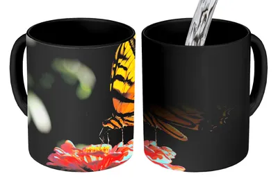 Obrázok produktu pre MuchoWow® Magický pohár Motýľ - botanický - kvetina 350 ml Pohár na zmenu farby Darček Nápad na darček - Foto hrnček