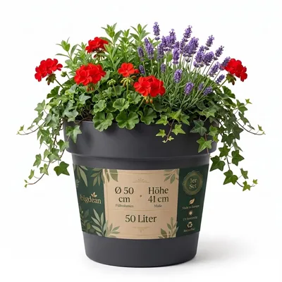 Produktbild von BigDean Blumentopf Ø 50 cm mit Wasserspeicher | Pflanzkübel groß für außen & innen, wetterfest, Kunststoff, anthrazit