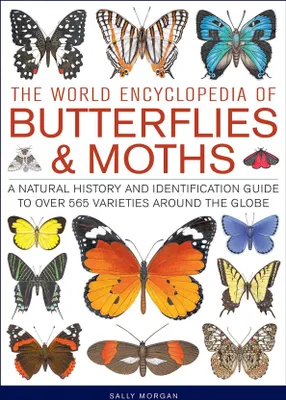 Produktbild von Butterflies Moths The World Encyclopedia – Lingua: Inglese