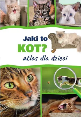 Zdjęcie produktu dla Jaki to kot? Atlas dla dzieci - Tittenbrun-Jazienicka Barbara v. (Atlas auf Polnisch)