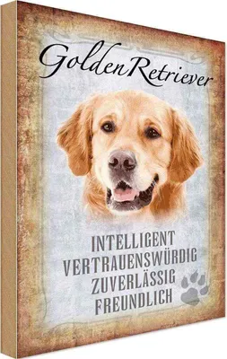 Produktbild von vianmo Holzschild 30x20 cm Golden Retriever Hund Tier Haustier