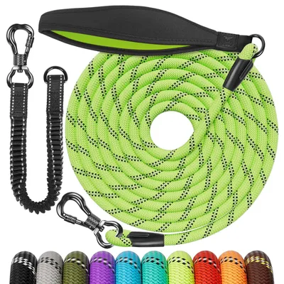 Image de Laisse d'entraînement de 10 mètres pour chiens, avec cordon élastique amovible, mousqueton et poignée rembourrée. Convient aux chiens de taille moyenne et grande.