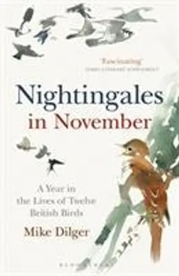 Immagine prodotto di Nightingales in November