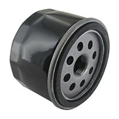 Image de Filtre à Huile Adaptable Pour Moteurs Briggs & Stratton: 21r807-0062-b5, 21r877-0015-b1, 31r507-0002-b1, 31r507-0011-b5, 31r577-