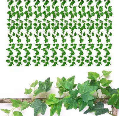 glanzmispel botanisch Glanzmispel Carré Rouge 40–60 cm – Rote Heckenpflanze, Photinia fraser –  Blumen-Senf®