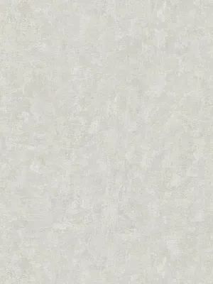 Obrázok produktu pre A.S. Creation | Betón Vol. 2 | 386393 | Netkaná tapeta | Jednofarebná | 10,05 x 0,53 m | Sivá | Obývacia izba | Hala | Kancelária | Kuchyňa | Obývacie izby