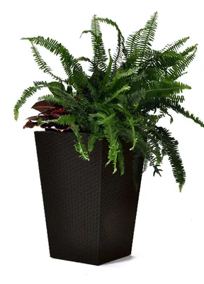 Produktbild von KETER Rattan-Pflanzgefäß M Blumentopf 39 X 39 X 57 cm - Braun 228975