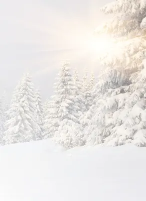 Produktbild von Motivpapier Briefpapier (Winter-5059, DIN A4 100 Blatt) Tiefverschneite Winterlandschaft mit Bäumen welche unter der Schneelast ächzen, die Sonne strahlt vom Himmel