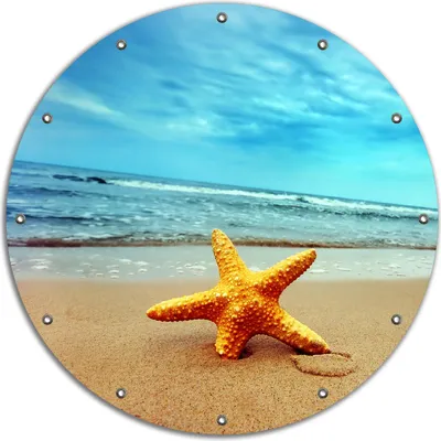 Produktbild von Wallario rundes Outdoor-Poster für Garten oder Balkon, Motiv Seestern am Strand am Meer, 90 cm Durchmesser