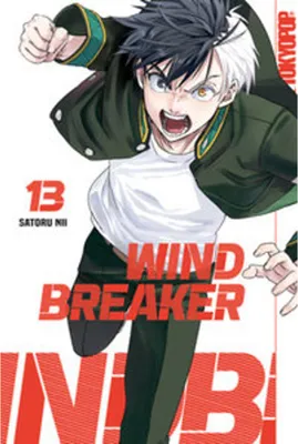 Produktbild von Wind Breaker 13