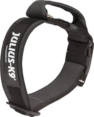 Produktbild von Julius-K9 Halsband mit Griff schwarz/grau, Verstellmöglichkeit: 38 - 53 cm