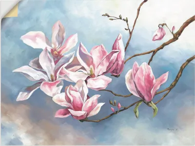 Produktbild von ARTland Wandbild, selbstklebend Magnolienzweig Größe: 60x45 cm