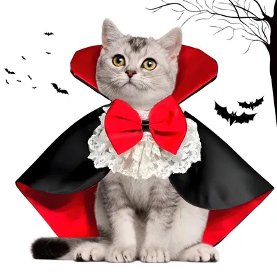 Halloweenkostüm Katze Vampir Umhang rot-schwarz verstellbar