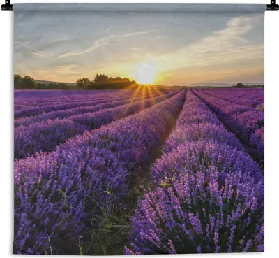 Produktbild von MuchoWow® Wandteppich Wandbehang Lavendel - Blumen - Sonnenuntergang - Lila 90x90 cm Tapisserie Dekoration Wandtuch - Wandaufhänger