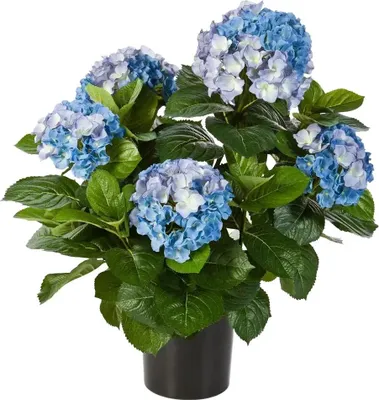 Produktbild von aplanta Künstliche Hortensie - Naomi | 53 cm, für drinnen, Kunstpflanze, wie echt, Allergiker geeignet, pflanzliche Dekoration Praxis, Office & Wohnzimmer