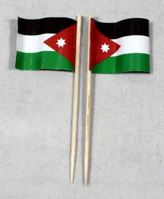 Produktbild von Party-Picker Flagge Jordanien Papierfähnchen in Spitzenqualität 25 Stück Beutel