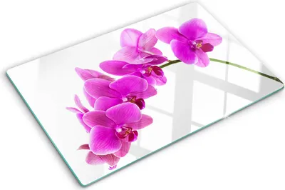 Produktbild von Tulup Glas Herdabdeckplatte - 80x52 cm - Glaskeramikkochfeld-Abdeckung Spritzschutz Glasabdeckplatte - Einteilig - Blumen & Pflanzen - Rosa Orchidee - Rosa