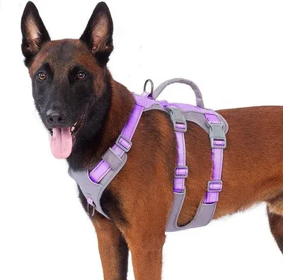 Produktbild von Famanu Hundegeschirr mit Handgriff - Anti-Entkommen Design - Atmungsaktiv und leicht - Verstellbar und reflektierend - Geeignet für kleine und große