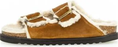 Produktbild von Gabor Sport 73.014.14 cognac/nude Klassische Pantoletten  HW 21/22, Spocc:36