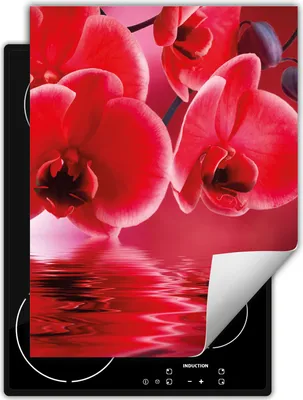 Produktbild von DarHaus Herdabdeckplatte Einteilig Küche Abdeckplatte für Glaskeramikkochfeld Abdeckung Induktionskochfeld Aufrollbare Matte 40x52 cm, rot - Orchidee