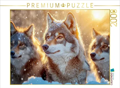 Produktbild von CALVENDO Puzzle Wachsam im Schnee | 2000 Teile Lege-Größe 90x67cm Foto-Puzzle für glückliche Stunden