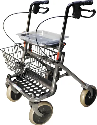 Produktbild von Standard Rollator Actimo Basic Silber