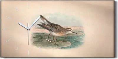 Produktbild von Dekor Leinwand Uhr Wandbilder Geräuschlos 60x30 Vögel Wild Tiere Zeichnung Kunst - weiße Hände