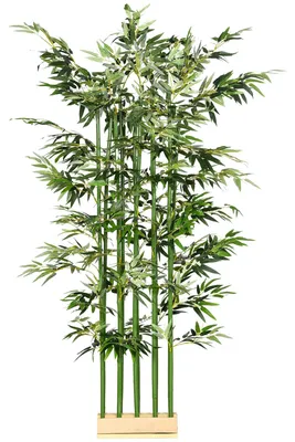 Immagine prodotto di Pianta di bambù artificiale, altezza 180 cm | Colore: verde | Dimensioni: 10x35x180 cm