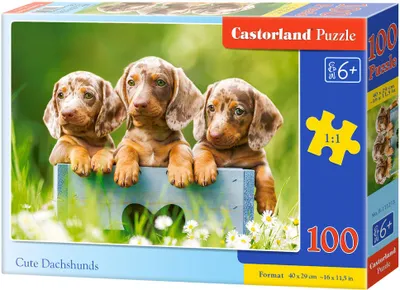 Produktbild von Castorland B-111213, 100 Stück(e), Tiere, 6 Jahr(e)