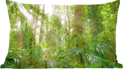 Produktbild von MuchoWow® Zierkissen Sofakissen Wohnzimmer Dekokissen 60x40 cm Licht im Wald - Kopfkissen - Polster mit Foto