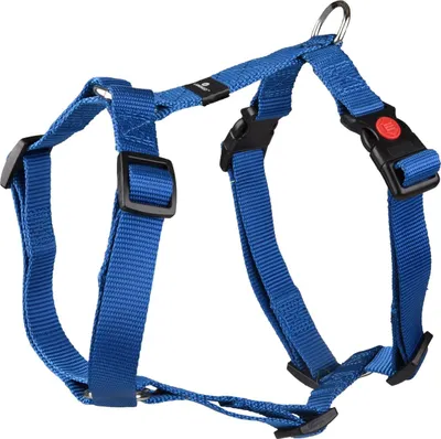 Produktbild von Flamingo Geschirr Ziggi blau, Größe: M / Breite: 20 mm