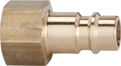 Produktbild von Riegler Stecknippel für Kupplung NW 7,2-7,8, Messing, IG G1/4