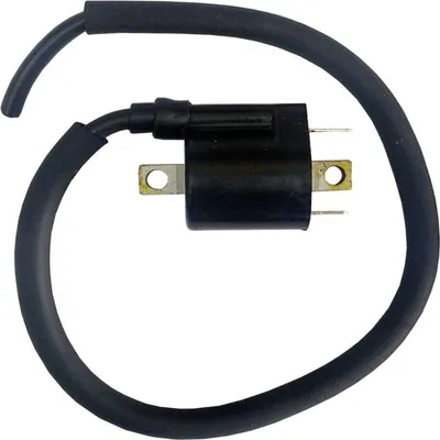 Immagine prodotto di Bobina di accensione per Yamaha YFZ 450 R, anni di produzione 2009-2012, marca Pamoto - Nuova