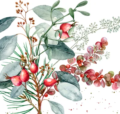 Produktbild von Servietten Papier 33x33cm Hagebutten Zweige 20 Stück Rot Weiß Grün