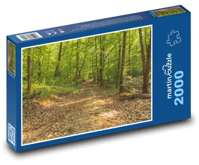 Obrázek produktu pro Puzzle 2000 Lesní stezka v přírodě - martinpuzzle