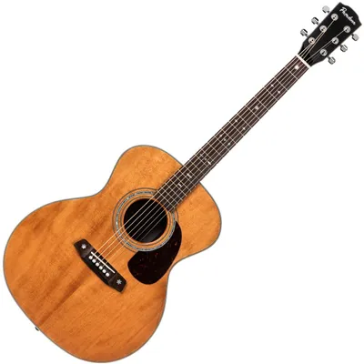 Image de Guitare acoustique Pasadena PG-450 All Solid Vintage Natural Jumbo
