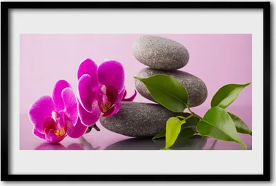 Produktbild von Bild 60x40 MDF-Rahmen Wandkunst Zen-Blumen-Orchidee Pflanze