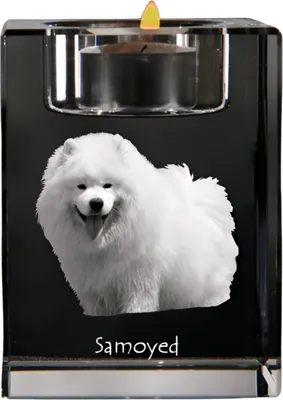Obrázok produktu pre Art-Dog Svietnik na čajovú sviečku – Samojed