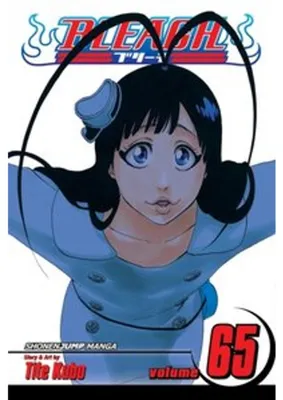 Imagen del producto de Bleach, Vol. 65