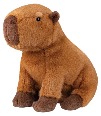 Produktbild von Aurora Borealis Capybara Kuscheltier- 28 cm | Alles Ansehen
