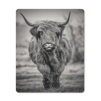 Produktbild von MuchoWow® Mauspad Mousepad Schottischer Highlander - Schwarz und Weiß 19x23 cm - Mousepads - Maus Mat - Pad - Mausunterlage - Mauspads - Spielen